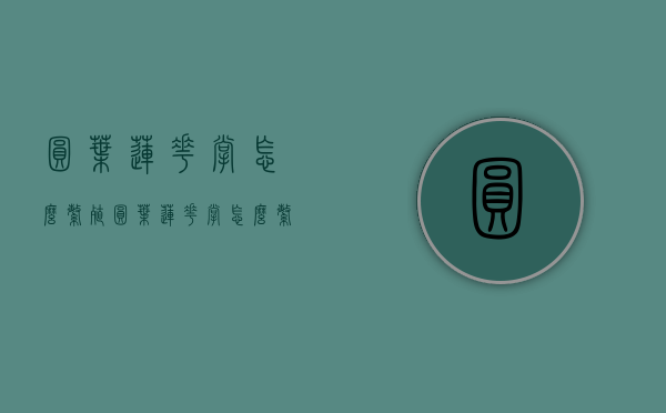 圆叶莲花掌怎么繁殖（圆叶莲花掌怎么繁殖视频）
