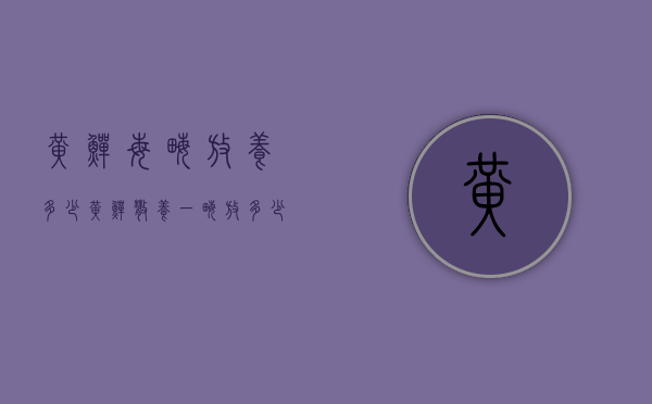 黄鳝每亩放养多少（黄鳝散养,一亩放多少亩?）