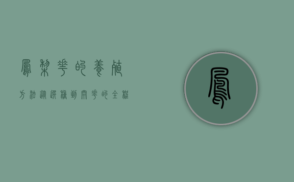 凤梨花的养殖方法，从选种到开花的全程指南