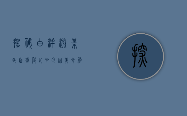 探秘白洋淀景区，自然与人文的完美交融