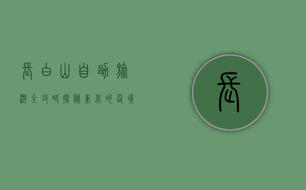 长白山自助旅游全攻略，探秘东北的仙境与秘境