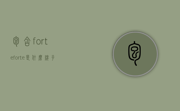 包含forteforte是什么牌子的词条