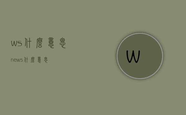 ws什么意思（news什么意思）