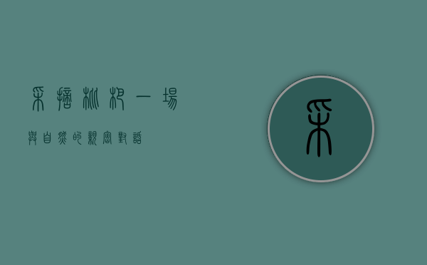 采摘枇杷，一场与自然的亲密对话