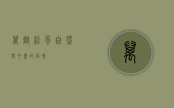 万壑松风，自然与心灵的共鸣