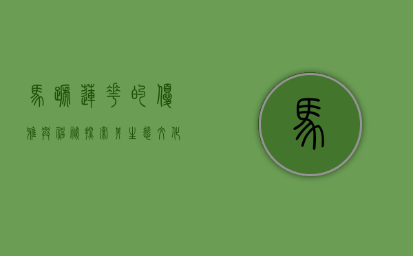 马蹄莲花的优雅与神秘，探索其生态、文化与艺术价值