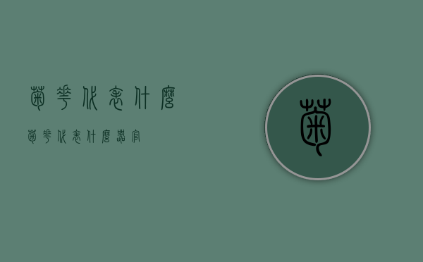 菊花代表什么（菊花代表什么器官）