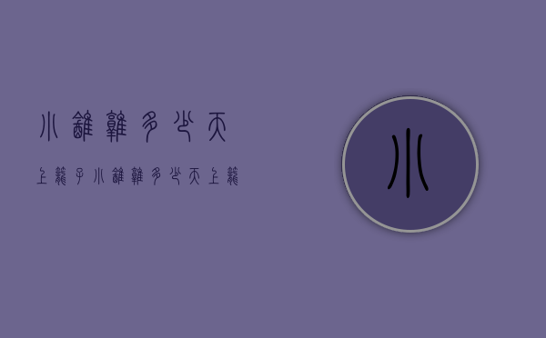 小鹌鹑多少天上笼子（小鹌鹑多少天上笼子啊）