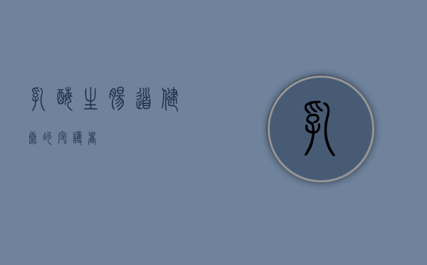 乳酶生，肠道健康的守护者