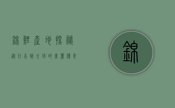 锦鲤产地探秘，从日本到全球的美丽传奇