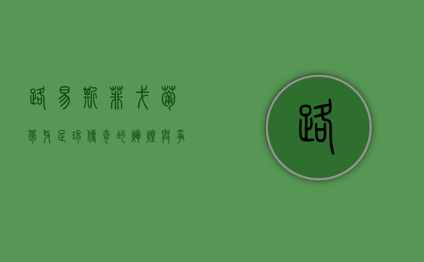 路易斯·菲戈，葡萄牙足球传奇的辉煌与争议