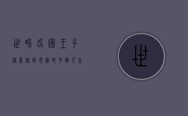 世界各国王子，从童话到现实的多面人生