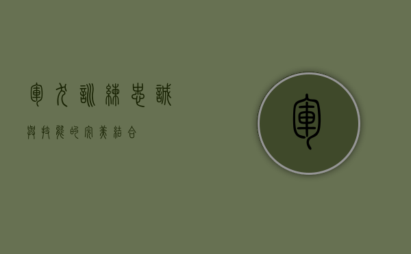 军犬训练，忠诚与技能的完美结合