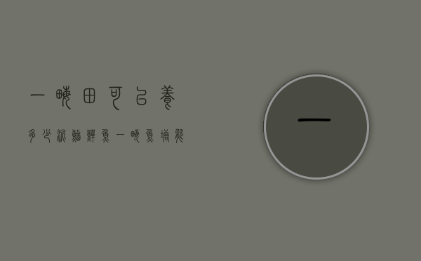 一亩田可以养多少泥鳅鳝鱼（一亩鱼塘能养多少斤泥鳅）