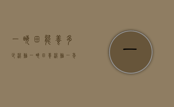 一亩田能养多少泥鳅（一亩田养泥鳅一年能赚多少钱）