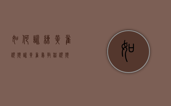 如何训练黄雀视频（训黄雀鸟教程视频）