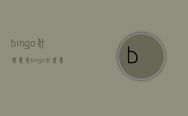 bingo什么意思（bingo什么意思中文翻译）