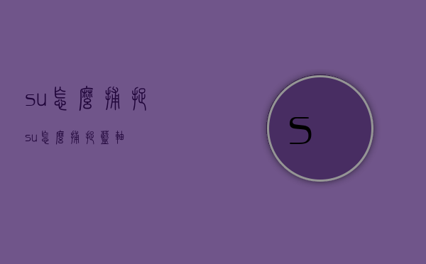 su怎么捕捉（su怎么捕捉蓝轴）