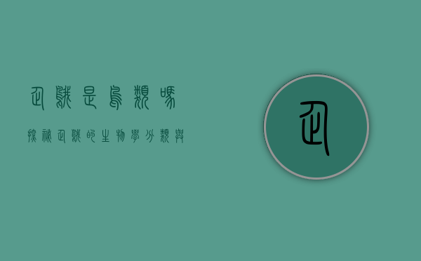 企鹅是鸟类吗？探秘企鹅的生物学分类与独特特征