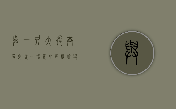 与一只大狗共度夜晚，一场意外的冒险与温情