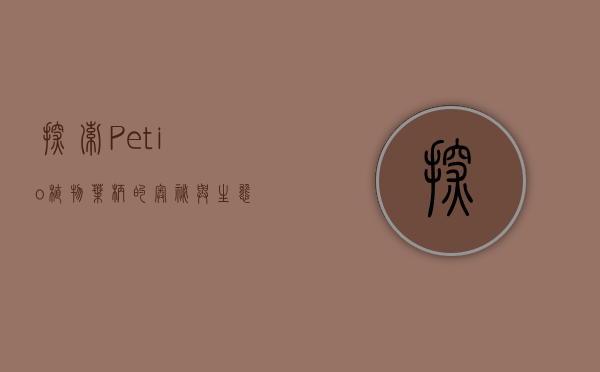 探索Petio，植物叶柄的奥秘与生态价值
