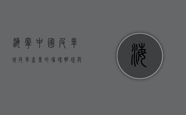 海宁中国皮革城，皮革产业的璀璨明珠与时尚之都