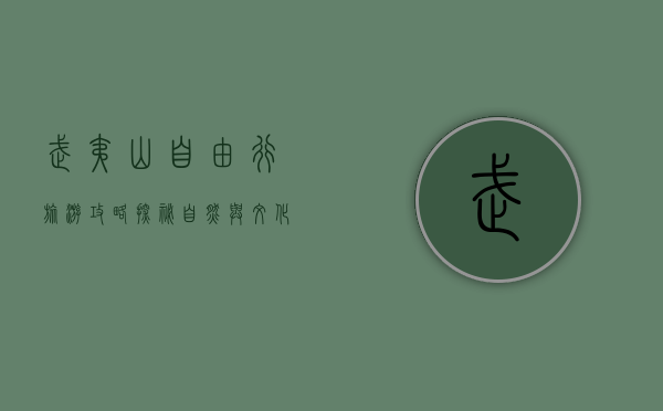 武夷山自由行旅游攻略，探秘自然与文化的完美融合