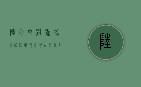 陆龟会游泳吗？揭秘陆龟的水中生存能力