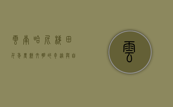 云南哈尼梯田，千年农耕文明的奇迹与自然的和谐共生