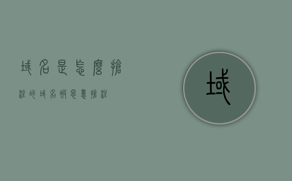 域名是怎么抢注的（域名被恶意抢注）
