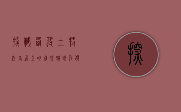 探秘西藏土特产，高原上的自然馈赠与独特文化