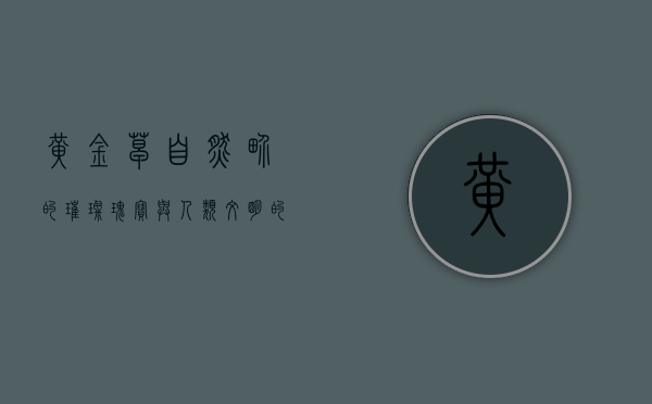 黄金草，自然界的璀璨瑰宝与人类文明的见证