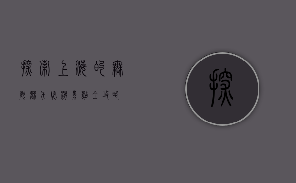 探索上海的无限魅力，必游景点全攻略