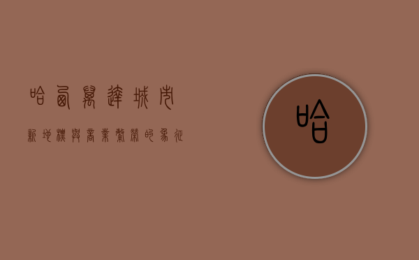 哈西万达，城市新地标与商业繁荣的象征