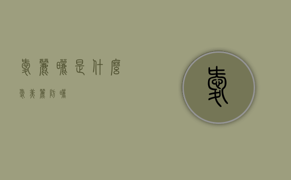 爱丽晒是什么（爱美丽防晒）