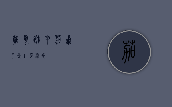 茄蚤跳甲（茄虱子是什么样的）