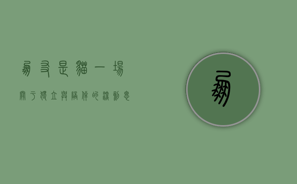 朋友是猫，一场关于独立与陪伴的深刻思考