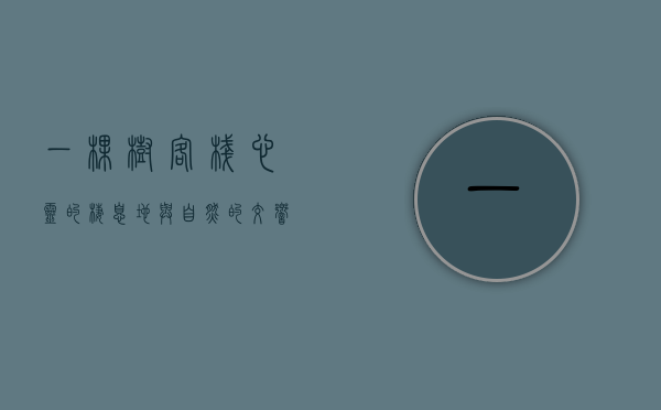 一棵树客栈，心灵的栖息地与自然的交响曲