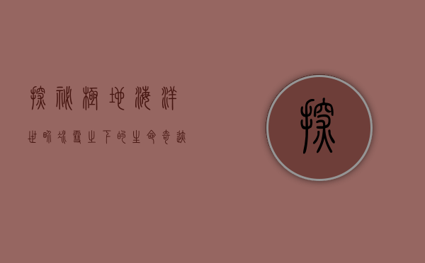 探秘极地海洋世界，冰雪之下的生命奇迹