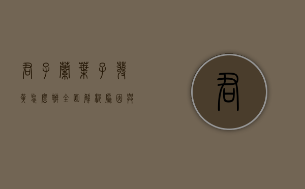 君子兰叶子发黄怎么办？全面解析原因与解决方案