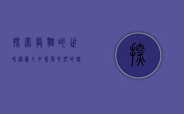 探索龙猫的世界,从图片中感受它们的魅力与故事 探索龙猫的世界,从图片中感受它们的魅力与故事