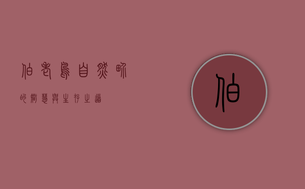 伯老鸟，自然界的智慧与生存之道
