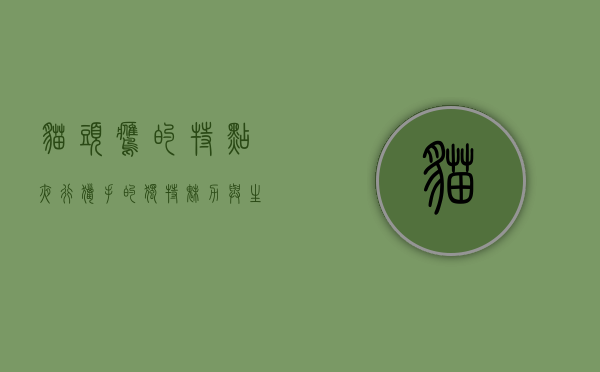 猫头鹰的特点,夜行猎手的独特魅力与生态价值 猫头鹰的特点,夜行猎手的独特魅力与生态价值