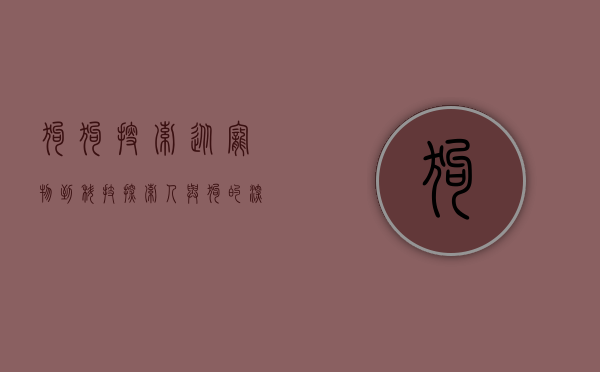 狗狗搜索，从宠物到科技，探索人与狗的深厚纽带