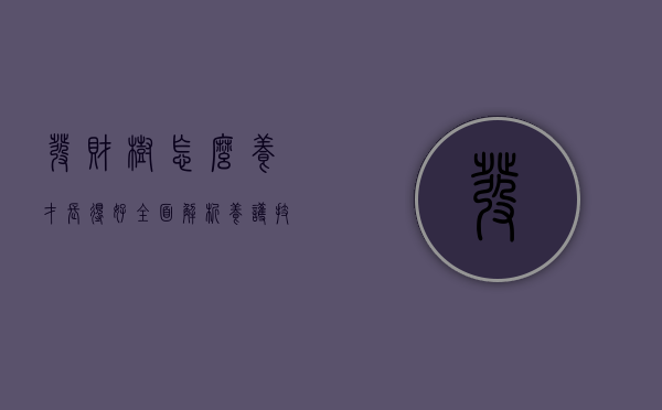 发财树怎么养才长得好？全面解析养护技巧与注意事项