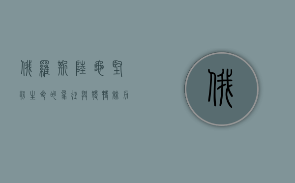 俄罗斯陆龟，坚韧生命的象征与独特魅力的宠物
