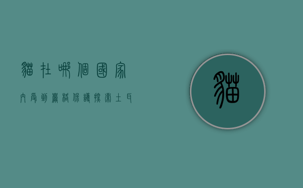 猫在哪个国家内受到严格保护?探索土耳其对猫的独特关爱 猫在哪个国家内受到严格保护?探索土耳其对猫的独特关爱