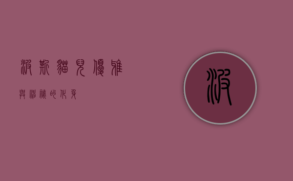 波斯猫儿，优雅与神秘的化身
