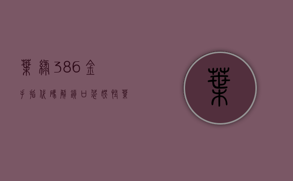 叶绿386金手指代码，解锁口袋妖怪 叶绿的全新体验