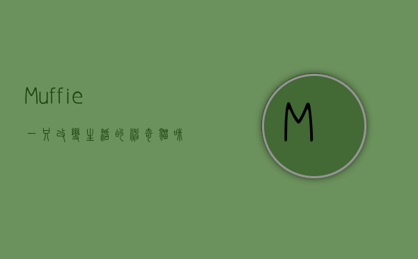 Muffie，一只改变生活的神奇猫咪